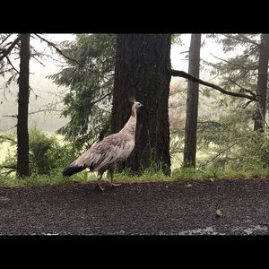 Welcome to my closet!